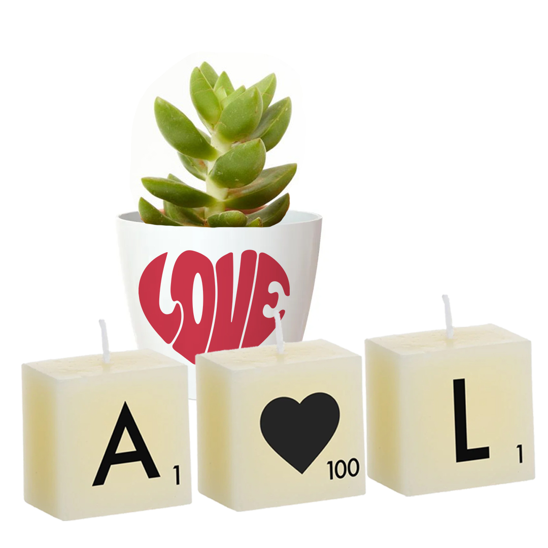 Regalo de 3 velas y maceta blanca con planta natural