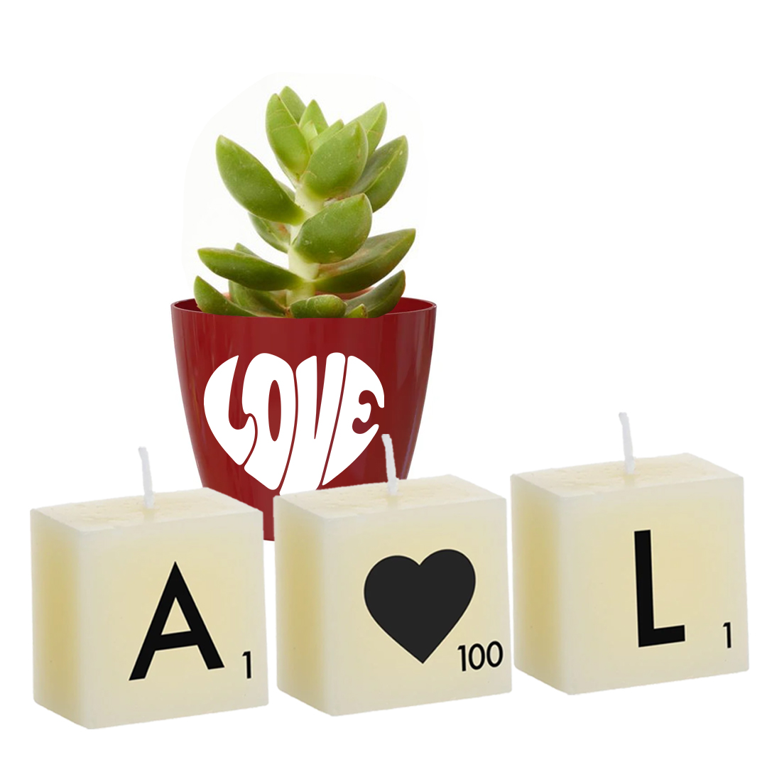 Regalo de 3 velas y maceta roja con planta natural