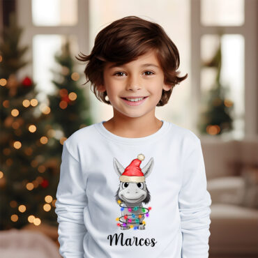 Camiseta personalizada “Burrito Navideño”
